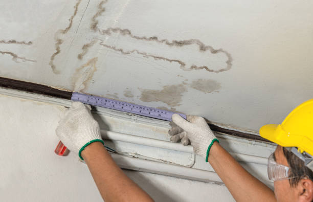 Reliable Mold Remediation contractor in Newmarket, NH by Water Damage Irwin